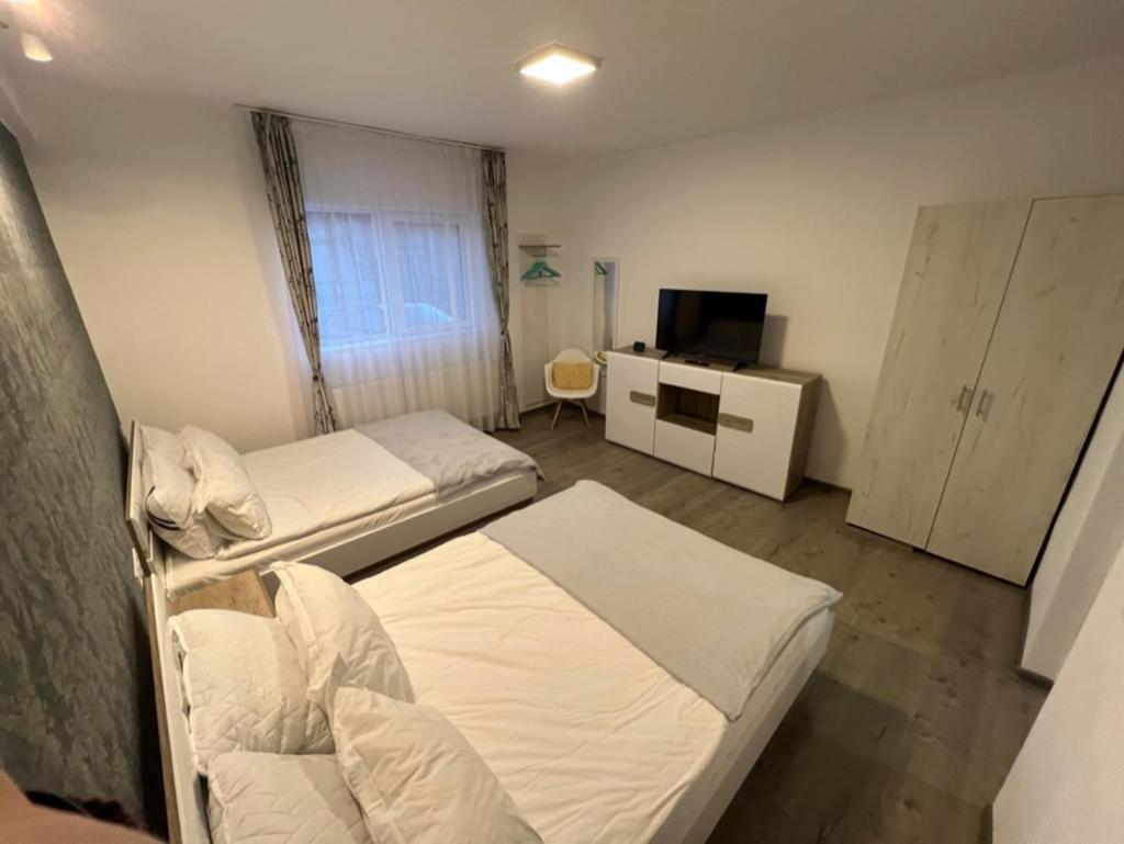 1-Beadroom Apartment With Free Parking Turda Dış mekan fotoğraf